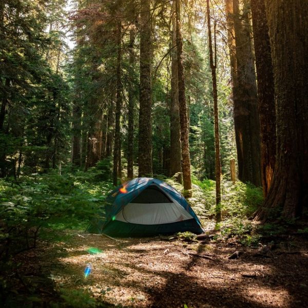 tenda